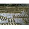 Buy cheap Large Capacity Stainless Steel Door Handle Door Hinge PVD Vacuum Coating Equipment For Gold Rose Gold Color from wholesalers
