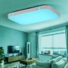 Buy cheap Modern Ceiling Lights RGB ceiling Lamp kitchen overhead light fixtures (WH-MA-33) from wholesalers