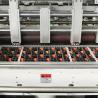 Buy cheap RINO Automatic Die Cutting And Creasing Machine 5000 Sheets/H from wholesalers