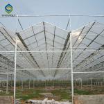 3.0m 6.0m Polycarbonate Aluminium Greenhouse UV Protection
