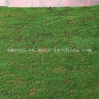 Buy cheap Plastic Green Carpet Moss for Eco-Friendly Wall Decoration Lifespan Within 5-10 product