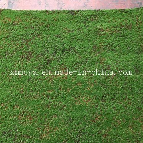 Plastic Green Carpet Moss for Eco-Friendly Wall Decoration Lifespan Within 5-10