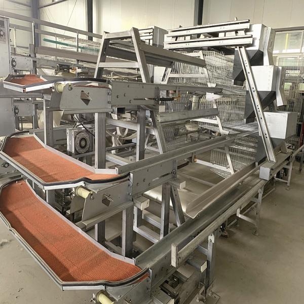 Buy cheap Wanxin Motor Automatic Chicken Egg Collector , 2mm HDG Layer Poultry Farming Equipment from wholesalers