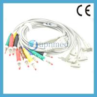 Buy cheap M1949A Philips 10 lead EKG Trunk cable product