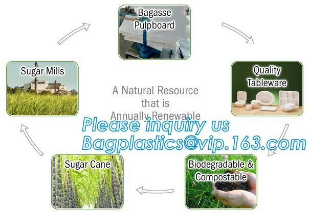 good sale biodegradable disposable corn starch plastic plate for party,Disposable corn starch plates biodegradable corn