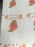 RY-320/480-5C-B PP Film Flexo Printing Machine and Die Cutting Sticker Paper