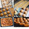 Buy cheap Hot Air Circulation Small Commercial Baking Oven Pizza Buns 10 Trays Gas Electric from wholesalers