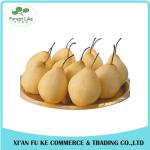 Natural Sydney / Snow Pear Fruit Juice Powder