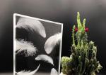 Buy cheap Window Partition Mural Laser 6mm Sand Carved Glass from wholesalers