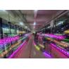 Buy cheap Shopping Mall Outdoor Full Color Waterproof P3.91-7.82 Mesh Transparent LED Screen from wholesalers