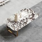 130x70x45cm SS Coffee Table Sintered Stone Top Coffee Table For Living Room