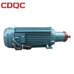 500w Variable Speed Electric Motor , High Speed Motor For Air Compressor