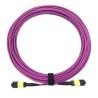 Buy cheap 12 Core OM4 Lszh Patch Cable , SENKO Female Mpo Patch Cord Purple Color from wholesalers