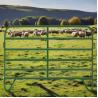 Buy cheap Farm Using And Sheep Panel Fence Portable Ranch Equipment Metal Livestock Panels from wholesalers