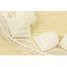 Buy cheap Picot Edging Wide Guipure Lace Trim Large Leaf Shaped 4.5cm Width from wholesalers