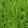 Buy cheap Greenhouse Irrigation Fertilizer Machine 1KW Auto Fertilizer System from wholesalers