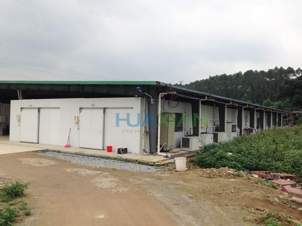 Buy cheap Compressor Condenser Transport Cold Storage Freezer Room Refrigeration Unit from wholesalers