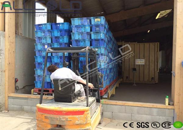 Buy cheap 220 Volt 60HZ Iceberg Vacuum Cooling Machine 10 Pallets / Cycle 1 year Warranty from wholesalers