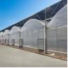 Buy cheap Transparent Glass Tunnel Multispan Greenhouse Plant Cultivation from wholesalers