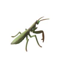 Buy cheap Insect Figures Model Toy Mantis Figurines Party Favors Supplies Cake Toppers product