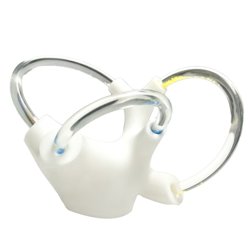 Tinnitus Vestibular Cochlea Inner Ear Cranial Nerve Rehabilitation Anatomical Function Didactic Demonstration Semicircular Canal