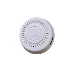ROHS Certified Wifi HD 1080P Smoke Detector Spy Camera Long Battery Lasting