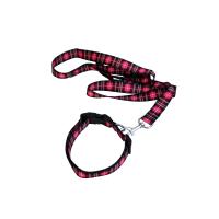 Buy cheap Metal Buckle Seatbelt Pet Collars Leashes 2.5CM Width OEM For Dog product