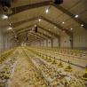 Buy cheap Q235/Q345 Low Carbon Steel Poultry Farm Building For Cow Goat Horse Arena Cattle Sheep from wholesalers