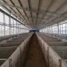 Buy cheap 1880mmx1460mmx1230mm Calf Fence Calf Protective Shelter For Newborns from wholesalers
