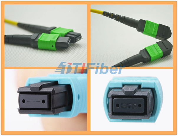 12 core MTP Fiber Optic Patch Cord with 3.0mm Round Fiber Cable