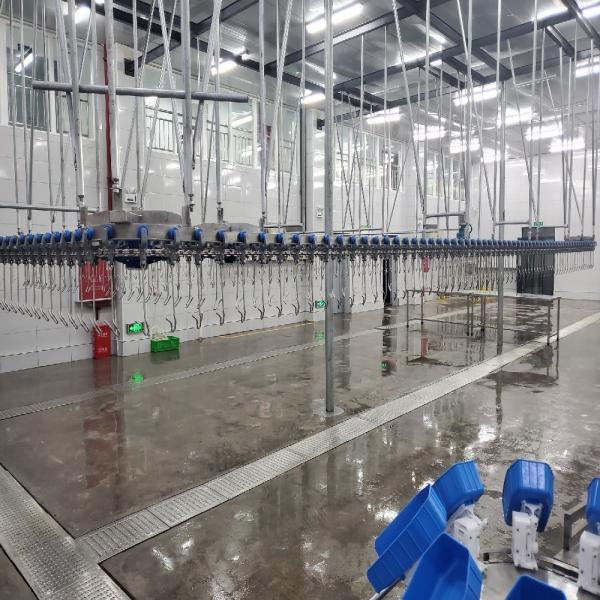 Buy cheap 500PCS Automatic Poultry Slaughterhouse Equipment Stainless Steel Chicken Farming Line from wholesalers