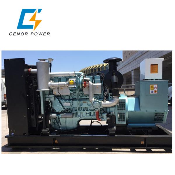 Natural Gas Powered Genset Diesel Generator electricity 200kva ECU Ignition