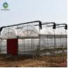 Buy cheap Elliptical Pepper 8.0m Plastic Polyethylene Film Greenhouse from wholesalers