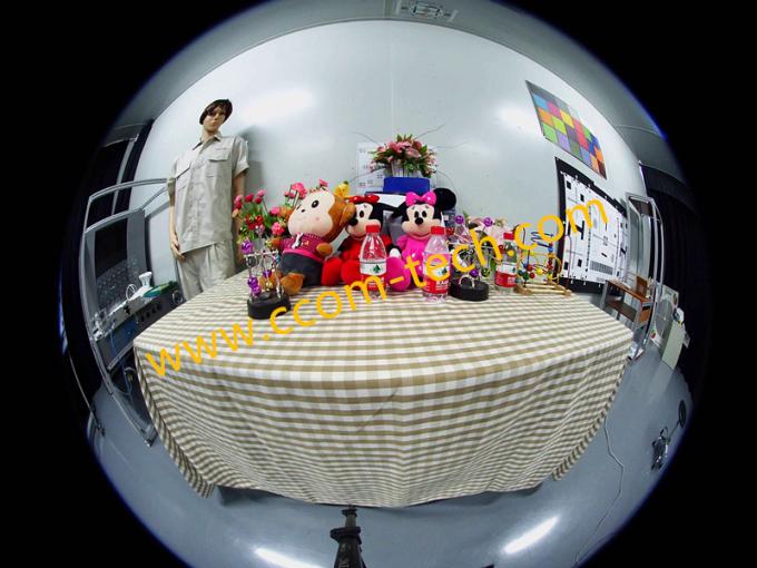 1/2.9" 2.2mm 4Megapixel 1080P S-mount M12 Mount 195degree Fisheye Lens, visual doorbell vehicle camera lens