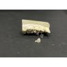 Buy cheap Hypoallergenic Stain-Resistant Emax Ceramic Inlay for Accurate Repair of Damaged Teeth from wholesalers