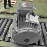 IP65 Three Phase Electric Motors For Pharmaceutical Low Voltage