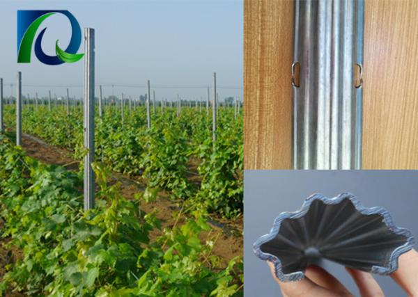 Buy cheap 54x30MM Steel Weatherproof Vineyard Fence Posts from wholesalers