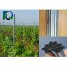 Buy cheap 54x30MM Steel Weatherproof Vineyard Fence Posts from wholesalers