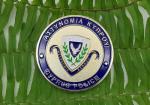 Brass Marine Corps Challenge Coins , Custom Silver Die Struck Presidential