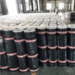 Waterproof SBS HDPE 0.035mm 35 Micron Perforated Film