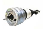 A2533200338 Front Left Air Suspension Shock Absorber Fit Mercedes Benz X253 W253