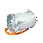 AC Induction Motor for Club Car Vehicle Motors and Rated Torque N·m of 95.5