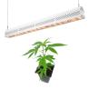 Buy cheap Waterproof LED Grow Lights Environmental Friendly from wholesalers