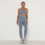 Seamless Yoga Workout Clothes Compression 2 Piece Set Hip Lifting Leggings Crop
