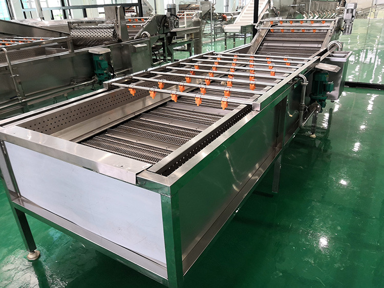 Hair Removel Fruit And Vegetable Washing Machine 500 - 1000kg / H Capacity Automatic Vegetable Washer