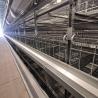 Buy cheap Q235 Chicken Cages Poultry Farming Equipment 3-6mm Thickness from wholesalers