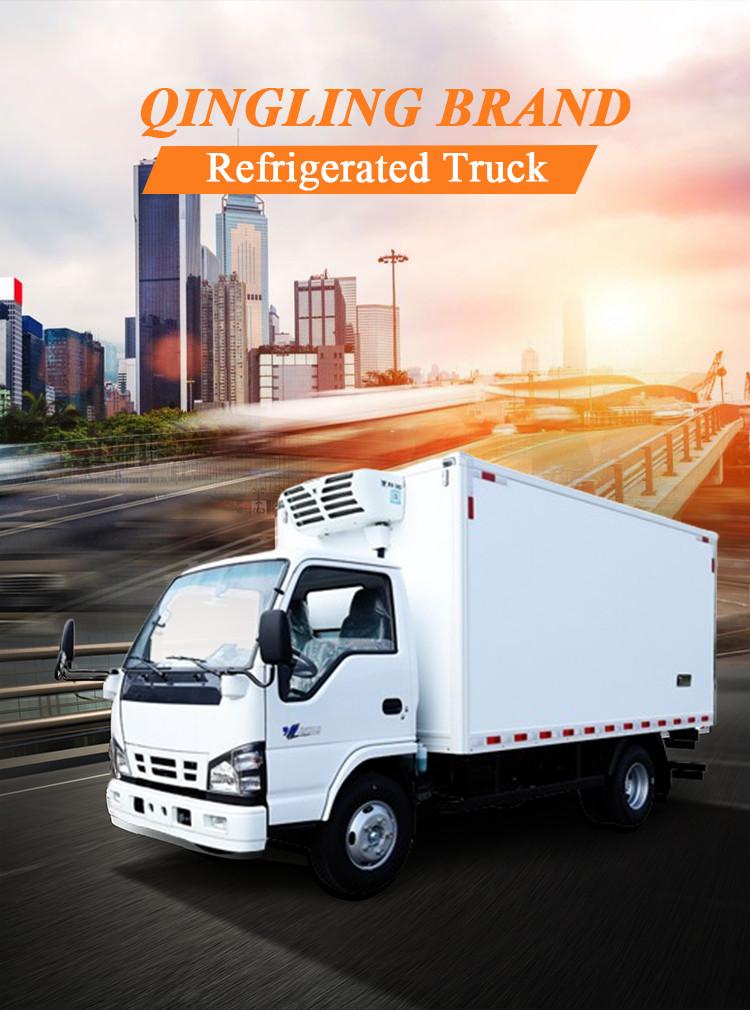 QINGLING Refrigerated Truck For Food Meat Fish Transportation NKR Freezer 5 Tons THERMO KING RV380 Refrigeration