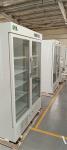 1006L Capacity High Quality Upright Pharmacy Medical Refrigerator R290 Auto