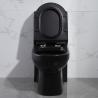 Buy cheap Black One Piece Elongated Toilets 1.6 Gpf Siphon Jet Toilet Flushing Systems from wholesalers