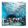 Buy cheap Pool Solution Large Above Ground Acrylic Wall Swimming Pool for Customer's Demand from wholesalers